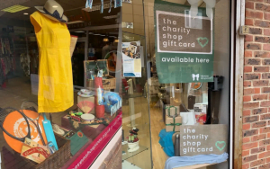 Havens hospice window by Helena